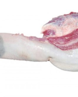 Frozen Beef Tongue