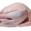 Buy Frozen Whole Turkey online