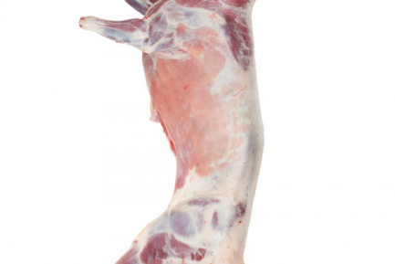 Halal Fresh Frozen Goat meat carcass